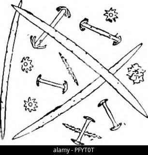 . Süßwasser-Biologie. Süßwasser-Biologie. Die Schwämme (Porifera) 313 44 (45) Der Rotules gemmule spicules der kleinen Klasse regelmäßige Pilzförmigen, Wellen in der Regel glatt. Heteromeyenia repens Potts 1880. Schwamm inkrustierende, dünn. Gemmules nicht reichlich vorhanden. Skelett spicules eher schmal, dünn microspined, allmählich hingewiesen. Dermale spicules fast gerade, ganz Spined. Gemmule birotu-lates von mehr Klasse vergleichsweise wenige; Wellen, glatt oder mit einem oder wenigen auffälligen Stacheln oft unregelmäßig gebeugt. Dome Rotules-förmige, strahlen wie incurved lish Haken. Kleine birotulates sehr nu-merous, ein Stockfoto