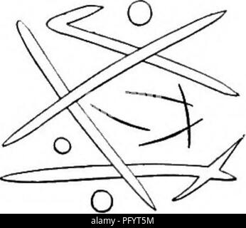 Die Untersuchung nordamerikanischer Süßwasserschwämme zeigt die zweiseitige Form, bei der zwei kleine Räder oder Drehungen durch einen Schacht miteinander verbunden sind. Variationen in der Schwammmorphologie helfen bei der Klassifizierung der Arten. Diese Schwämme, makroskopische Spicules und Luftzellschichten geben Einblicke in ihre Struktur und Anpassung in Süßwasser-Ökosystemen. Stockfoto