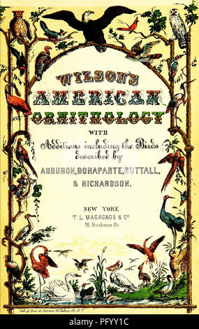 . Wilson's American Ornithologie, mit Noten von Jardine. Zu dem ist eine Synopse der amerikanischen Vögel, einschließlich derer, die von Bonaparte, Audubon, Nuttall, Richardson, von T.M. hinzugefügt Brewer. Vögel; 1854. . Bitte beachten Sie, dass diese Bilder sind von der gescannten Seite Bilder, die digital für die Lesbarkeit verbessert haben mögen - Färbung und Aussehen dieser Abbildungen können nicht perfekt dem Original ähneln. extrahiert. Wilson, Alexander, 1766-1813; Brauer, Thomas Mayo, 1814-1880; Jardine, William, Sir, 1800-1874; T.L. Magagnos&amp; Company. pbl. New York, T.L. Magagnos Stockfoto