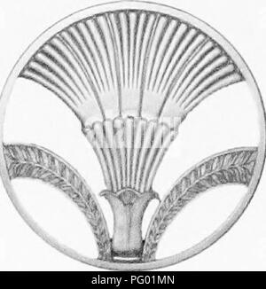 . Die Grundsätze der Botanik, wie in der cryptogamia veranschaulicht. Für die Nutzung der Schulen und der Hochschulen. Kryptogamen; Anatomie; 1853. Albert Fl. Mann Libhary Cornell Universiti. (Aus dem Nachlass von Bruce Voeller. Bitte beachten Sie, dass diese Bilder sind von der gescannten Seite Bilder, die digital für die Lesbarkeit verbessert haben mögen - Färbung und Aussehen dieser Abbildungen können nicht perfekt dem Original ähneln. extrahiert. Coultas, Harland, d. 1877; Ersticken, Cloyd B. sgn. Philadelphia, Lindsay und Blakiston Stockfoto