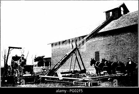 . Die Maisernte: Eine Diskussion von Mais, Sorghum, kafirs und wie in den USA und Kanada angebaut. Mais; Kafir Mais, Sorghum. 242 Mais Kosten pro Scheffel Kommissionierung und schälen Mais Cent von Hand aus Feld, 3.5 Team für Cribbing 1 von Hand von Schock 5.3 Team für Cribbing 79 von Mais Picker von Feld 4.1 Durch die Huskers und sliredder von Schock. 4.5 Die relativen Kosten der Methoden unterscheiden sich je Prin- cipally auf den Preis der Arbeit. Speichern von Ohren 172. Die Ohren sind in der Regel in Krippen Lattenrost gespeichert Lüftung. Wenn ein gutes Dach vorhanden ist, die es gibt. Abb. 84. ÂA gute tj' pe von Stockfoto