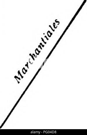 Diese Illustration untersucht die Struktur und Entwicklung von Moosen und Farnen, einschließlich der Eigenschaften von Archegoniatae. Sie bietet einen detaillierten Überblick über ihre Fortpflanzungsorgane und Entwicklungsstadien, die für das Verständnis der Pflanzenmorphologie und der Evolutionsbiologie dieser Arten von entscheidender Bedeutung sind. Stockfoto