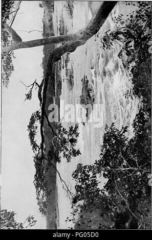 . Aus dem Niger zu den Nil. Alexander-Gosling Expedition; Vögel. . Bitte beachten Sie, dass diese Bilder sind von der gescannten Seite Bilder, die digital für die Lesbarkeit verbessert haben mögen - Färbung und Aussehen dieser Abbildungen können nicht perfekt dem Original ähneln. extrahiert. Alexander, Boyd, 1873-1910; Talbot, Percy Amaury, 1877-1945. London, E.Arnold Stockfoto