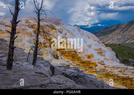 Seitwärts des Kanarischen Frühling und Terrassen in den Mammoth Hot Spring Bereich der Yellowstone National Park Stockfoto