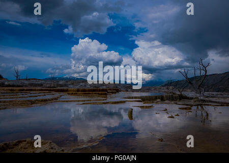 Neue Highland Terrasse, Mammoth Hot Springs, Yellowstone National Park, Wyoming Stockfoto