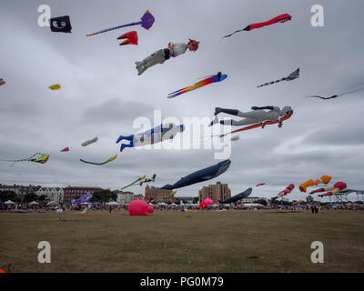 Drachen in Portsmouth international kite Festival Fliegen Stockfoto