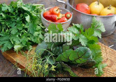 Frische Petersilie, Dill, Mangold, Koriander auf Holzbrett und Tomaten und Chile auf Eisen backgrownd. Im rustikalen Stil. Stockfoto