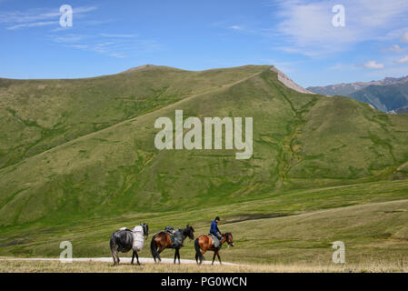 Pferdetrekking die alpine Keskenkija Trek, Jyrgalan, Kirgisistan Stockfoto