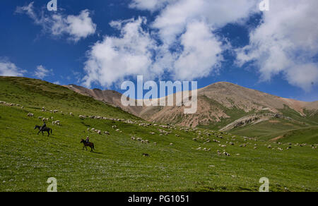 Kirgisische horserider, Jyrgalan Tal, Kygyzstan Stockfoto