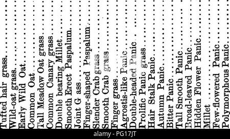 . Die Gräser von Tennessee; einschließlich Getreide und Futterpflanzen. Gräser, Futterpflanzen, Getreide. . , D P2, 65 o a a o a C cs-o o3 o = H-o-p^S-a°P 2. Bitte beachten Sie, dass diese Bilder sind von der gescannten Seite Bilder, die digital für die Lesbarkeit verbessert haben mögen - Färbung und Aussehen dieser Abbildungen können nicht perfekt dem Original ähneln. extrahiert. Killebrew, J. B. (Joseph Buckner), 1831-1906. Nashville, der Amerikanischen Co. Stockfoto