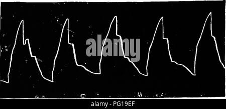 . Klinische Diagnostik der inneren Krankheiten der Haustiere. Veterinärmedizin; Diagnose, Veterinär; Veterinärmedizin. 9G KLINISCHE DIAGNOSTIK. Abb. 28 c. Exspiratorischer Dyspnoe bei Emphysem Pulmonum. Abb. 28 d.. Bitte beachten Sie, dass diese Bilder sind von der gescannten Seite Bilder, die digital für die Lesbarkeit verbessert haben mögen - Färbung und Aussehen dieser Abbildungen können nicht perfekt dem Original ähneln. extrahiert. Malkmus, Bernhard, 1859-1925. Chicago, A. Eger Stockfoto