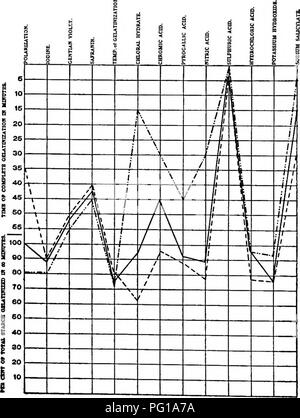 . A biochemic Basis für das Studium der Taxonomie, Vererbung, Evolution, etc., mit besonderer Bezugnahme auf die Stärke und das Gewebe des Elternteils - Aktien und Hybrid-Bestände und die Stärke und hämoglobine von Sorten, Arten und Gattungen. Stärke; Biochemie; Pflanzen-hybriden; Pflanzen. Diagramm E 45.- zusammengesetzte Kurven der Stärke von Calanthe rosea (), Calanthe vestita var. rubro-oculata {--), und Calanthe veitchii (). Diagramm e^ FRAGE: Zusammengesetzte Kurven der Stärke von Calanthe vestita var. rubro-oculata (), (), regnieri Calanthe Calanthe und Bryan ().. Bitte beachten Sie, dass diese Bilder sind e Stockfoto