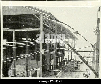 Der Cuba Review bietet Einblicke in die Pekannussindustrie und konzentriert sich dabei auf den Anbau und die Rentabilität von Pekannüssen. Es werden Best Practices für den Anbau und die Ernte von Pekannussbäumen erörtert und die Gärtnereien Glen Saint Mary als zuverlässige Quelle für hochwertige Bäume hervorgehoben. Der Katalog ist eine wichtige Ressource für diejenigen, die sich für den Anbau von Schalenfrüchten und Gartenbau im Süden der Vereinigten Staaten interessieren. Stockfoto