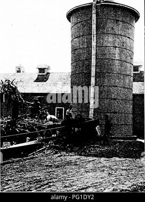 . Böden und Pflanzen in der Landwirtschaft. Landwirtschaft; Böden; Pflanzen. Entstehung UND ENTWICKLUNG VON SAATGUT 119. Mit freundlicher Genehmigung der Iowa State College. Abb. 40. - Füllen eines Silos.. Bitte beachten Sie, dass diese Bilder sind von der gescannten Seite Bilder, die digital für die Lesbarkeit verbessert haben mögen - Färbung und Aussehen dieser Abbildungen können nicht perfekt dem Original ähneln. extrahiert. Cunningham, Jules Cool, 1879 -; Lancelot, William Henry, 1874 -. New York: Macmillan Stockfoto