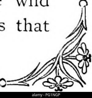 . Die Sprache der Blumen: oder, Floral Embleme von Gedanken, Gefühlen und Empfindungen... Blume Sprache. . Bitte beachten Sie, dass diese Bilder sind von der gescannten Seite Bilder, die digital für die Lesbarkeit verbessert haben mögen - Färbung und Aussehen dieser Abbildungen können nicht perfekt dem Original ähneln. extrahiert. Tyas, Robert, 1811-1879. London, New York, G. Routledge und Söhne Stockfoto