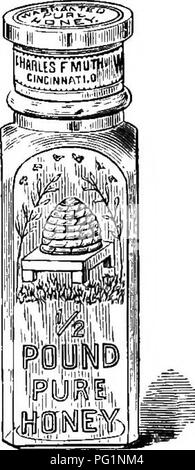 . Die Biene - der Keeper Guide: oder Handbuch der Imkerei. Biene Kultur; Bienen. . Bitte beachten Sie, dass diese Bilder sind von der gescannten Seite Bilder, die digital für die Lesbarkeit verbessert haben mögen - Färbung und Aussehen dieser Abbildungen können nicht perfekt dem Original ähneln. extrahiert. Koch, Albert John, 1842-1916. Chicago. Abb.: George W. York &Amp; Co.