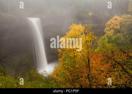 Misty Süden fällt im Herbst in Silver Falls State Park in Oregon Stockfoto