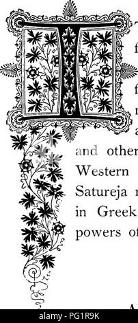 . Die Floral Kingdom: Geschichte, Stimmung und Poesie: ein Wörterbuch mit mehr als drei hundert Pflanzen, mit den Gattungen und Familien, zu denen sie gehören, und die Sprache der jeweils passende Edelsteine zu Poesie dargestellt. Blume, Blumen in der Literatur. r0^a atttre Ijortaisia. Natürliche Ordnung: LabiatceâMint Familie. TALY ist die native Sitz der Satureja. Es gehört zu einer Familie von besonders aromatisch, scharf Kräuter, die meisten Mitglieder sind sehr nützlich für die Menschheit für ihre Tonic und febri - Fugierten Eigenschaften. Einige von ihnen - wie der Thymian, Salbei, Majoran und die Sommer Savoryâare Stockfoto