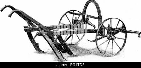 . Die Maisernte: Eine Diskussion von Mais, Sorghum, kafirs und wie in den USA und Kanada angebaut. Mais; Kafir Mais, Sorghum. 198 COBN PFLANZEN die Pflanzen widerstandsfähig, eine weeder verwendet werden kann, bis der Mais die Höhe von zwölf Zoll erreicht hat.. Abb. 62. - Die einfachste Art der einreihige Grubber, in extensive Nutzung der gesamten Corn Belt. Der Mais Grubber hat eine rasante Entwicklung in den letzten 50 Jahren durchgemacht. Das erste Pferd Kultivatoren wurden einzeln. Bitte beachten Sie, dass diese Bilder aus gescannten Seite Bilder, die digital für die Lesbarkeit verbessert haben mögen - Färbung und Erscheinen extrahiert werden Stockfoto