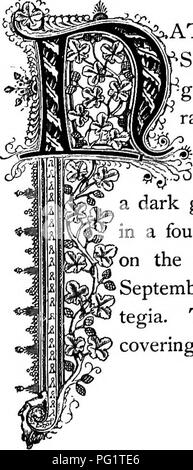 . Die Floral Kingdom: Geschichte, Stimmung und Poesie: ein Wörterbuch mit mehr als drei hundert Pflanzen, mit den Gattungen und Familien, zu denen sie gehören, und die Sprache der jeweils passende Edelsteine zu Poesie dargestellt. Blume, Blumen in der Literatur. ^^^'^% fZ ^^f r^mrti * Kommandeur, Beihilfe, alle animieren, "wo Feind erscheinen würde, oder Freund zu fallen. - Byron. T er Mann tapfer versucht nicht populär, Applaus. Noch, überwältigen würde mit Waffen, Wüsten seine Ursache; Unshamed, obwohl vereitelt, er tut sein Bestes, er kann; Kraft des Unmenschen, sondern Ehre ist des Menschen. - Dryden, 'yHE mutiger Mann ist nicht h Stockfoto