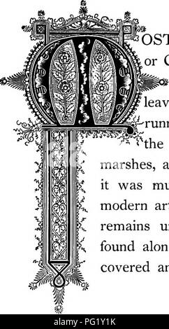 . Die Floral Kingdom: Geschichte, Stimmung und Poesie: ein Wörterbuch mit mehr als drei hundert Pflanzen, mit den Gattungen und Familien, zu denen sie gehören, und die Sprache der jeweils passende Edelsteine zu Poesie dargestellt. Blume, Blumen in der Literatur. V ^ ^-^ -&gt; StirpUB laCUStrtB. Natürliche Ordnung: Cyferacece - Segge Familie.. OST gelegentlich und eigenartig ist das Aussehen der Rohrkolben oder Clubrush, wie es gelegentlich genannt wird, das macht es ziemlich deutlich spürbar, wo es unter anderen Gräsern wird angezeigt; die Blätter sind röhrenförmig, mit verschiedenen feinen Rillen oder Kanäle ^ - 5 ---^ runninsr ein Stockfoto