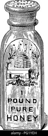 . Die Biene - der Keeper Guide; oder, Handbuch der Imkerei. Bienen. Miller betont hat, granulierte Honig, gründlich entleert und dann geschmolzen, gibt einen leckeren Artikel. Wenn die Leute einmal kennen seine Exzellenz - wissen, daß es nicht "belastet" - dann die Nachfrage für extrahierte Honig in beträchtlichem Ausmaß erhöht werden, zum Vorteil sowohl des Verbrauchers und der apiarist. Jeder Lebensmittelhändler erklären, was wir mit dem Wort "extrahiert", und ihn bitten, sich die Namen und char-acter der Honig. L, eave Tassen Honig mit den Editoren und Männer zu beeinflussen, und sie zu veranlassen, ihre Herkunft zu diskutieren Stockfoto