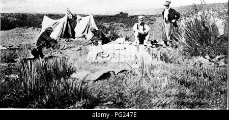 . Durch das Herz von Patagonien. Natural History. Die FLUSSTÄLER 77, der auf der Schindel stand neben dem Fluss. Ich stand ganz in der Nähe dieser Vogel und hatte eine steigende schossen auf ihn, wie er über den Fluß flog. Ich tötete ihn ziemlich tot, aber es schien^. WILDGOOSE CAMP unmöglich, ihn abzurufen, und wir waren ziemlich disconsolately sein Körper Drift Away ansehen, wann immer es uns aufgefallen, dass Jones, der war sehr mit dem Lasso clever verwalten könnte es an einem Punkt, wo die aktuelle es innerhalb der Reichweite unserer Seite gebracht zu erholen. Wir galoppierten parallel zu den Vogel auf der Bank, und nach ein oder Stockfoto