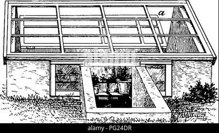 . Handbuch der Gartenarbeit: ein praktischer Leitfaden für die Herstellung von zu Hause und dem Anbau von Blumen, Obst und Gemüse für zu Hause. Im Garten arbeiten. 166 Handbuch der Gartenarbeit ist es in der Regel für den Schutz der Hälfte verwendet wird, winterharte Pflanzen, die in Töpfen und Kübel gezüchtet werden. Es kann wie immer verwendet werden, für die Pur-Pose der Weiterleitung Topf - Pflanzen im zeitigen Frühjahr und für den Schutz der Pfirsiche, Weintrauben, Orangen, oder andere Früchte in Kübeln oder Kästen. Wenn es nur die Pflanzen über den Winter zu schützen, ist es am besten. 196. Eine Grube oder Frühbeetkasten überwintert auf festen Wänden und eine sinnvolle Ergänzung zu einem Garten. T Stockfoto