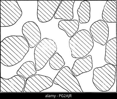 Dieses Buch beschäftigt sich mit der Praxis des Waldbaus mit einem Schwerpunkt auf seiner Anwendung in den USA es behandelt verschiedene Ausdünnungsmethoden, einschließlich Akkretionsschnitt, die darauf abzielen, das Durchmesserwachstum einzelner Bäume zu verbessern und gleichzeitig die Waldbedeckung zu erhalten. In der Arbeit werden Techniken für eine nachhaltige Waldbewirtschaftung und die Beschleunigung des Baumwachstums erörtert. Stockfoto