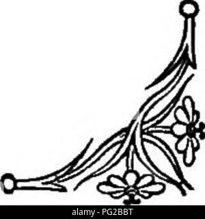 . Die Sprache der Blumen: oder, Floral Embleme von Gedanken, Gefühlen und Empfindungen... Blume Sprache. . Bitte beachten Sie, dass diese Bilder sind von der gescannten Seite Bilder, die digital für die Lesbarkeit verbessert haben mögen - Färbung und Aussehen dieser Abbildungen können nicht perfekt dem Original ähneln. extrahiert. Tyas, Robert, 1811-1879. London, New York, G. Routledge und Söhne Stockfoto