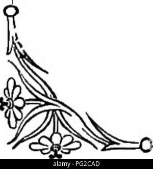 . Die Sprache der Blumen: oder, Floral Embleme von Gedanken, Gefühlen und Empfindungen... Blume Sprache. Die Blüte Farn. Die BLÜTE FARN {Osmunda r^^ a/w). - Träumerei. Das beste unserer heimischen Farne. Manchmal ist es der königlichen Farn genannt. Seine generische Namen, Osmunda, soll es sein, eine Göttin, der Königin von Thor, eine keltische Gottheit, und war zu dieser Pflanze für seine angebliche Tugend in der Medizin angewendet. Einer seiner Lust Eigenschaften ist, die unter ihrem Einfluss mit Träumen von großen prophetischen Kraft zu inspirieren, woher er ist das Wahrzeichen von Träumerei. Dieser Farn wächst in den meisten pensionierten s Stockfoto