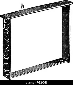 . Die Biene - der Keeper Guide: oder Handbuch der Imkerei. Biene Kultur; Bienen. Abschnitte im breiten Rahmen. 207 der Rest des Rahmens, so dass, wenn zwei Frames nebeneinander stehen, gibt es drei Achtel Zoll Raum zwischen dem unteren - Bars, obwohl die obere und seitliche Stücke sind in der Nähe, zusammen. Bei den Abschnitten verwendet, auf allen Seiten offen sind dann die Enden dieser Abschnitt Rahmen muss auch schmal sein. Sollte ich Angst vor einer solchen Anordnung unzulässig von der Menge von Propolis, die von den Bienen verwendet werden, würden alle sicherer zu machen. Die Abschnitte, die so groß sind (Abb. 79), die vier oder sechs oder ni Stockfoto