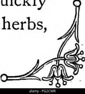 Dieses Bild zeigt Illustrationen aus der „Sprache der Blumen“, die die symbolischen Bedeutungen verschiedener Blumen erforscht. Es erfasst die Verwendung von floralen Emblemen, um Emotionen, Gedanken und Gefühle zu vermitteln. Blumen wurden historisch in der Kommunikation verwendet und dieses Bild unterstreicht ihre kulturelle und symbolische Bedeutung. Stockfoto