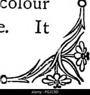 Dieses Buch erforscht die symbolischen Bedeutungen hinter Blumen, die oft mit Emotionen, Gedanken und Gefühlen verbunden sind. Blumenembleme waren eine verbreitete Sprache in der viktorianischen Ära, die versteckte Botschaften durch Blumen übermittelten. Stockfoto