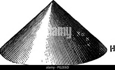 Dieses Handbuch enthält praktische Anweisungen zur Bienenhaltung und behandelt die Montage und Verwaltung von Bienenstöcken, einschließlich detaillierter Diagramme und Tipps für die erfolgreiche Honigproduktion und die Pflege von Kolonien. Stockfoto