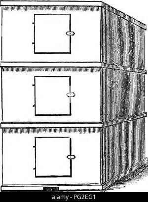 . Der amerikanische Imker Handbuch; eine praktische Abhandlung über die Geschichte und die heimische Wirtschaft der Honey-bee... mit den meisten zugelassenen Methoden zur Verwaltung dieses Insekt durch jeden Zweig der Kultur... Bienen. Imker, S Handbuch. 141 In bezug auf die Bienen ihre Waben mit Regelmäßigkeit zu bauen, ist es wirklich wichtig, eine Methode, um ein solches Ergebnis zu produzieren, zu entwickeln, und die einzige wirksame Methode, die ohne Probleme praktiziert werden kann, dem wird gegeben, wenn ich komme, von meinem eigenen Bienenstöcken zu sprechen, oder wie wurden von mir geplant. Ich verurteile Dr. Bevan's Hive, wegen seiner Bars, und auch auf Stockfoto