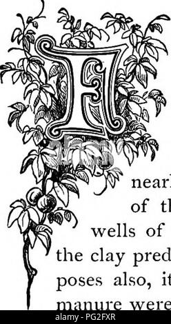 . Die Floral Kingdom: Geschichte, Stimmung und Poesie: ein Wörterbuch mit mehr als drei hundert Pflanzen, mit den Gattungen und Familien, zu denen sie gehören, und die Sprache der jeweils passende Edelsteine zu Poesie dargestellt. Blume, Blumen in der Literatur. ^r^^-C ^-^; und der Bewunderer culturist muss daher nicht entmutigt werden. Nur wenige Studien besser zurückzahlen als Blumenzucht, in der die Reize der sanften, ruhigen Einfluss, der es um die menschliche Seele wirft. In der Sprache der Dichter Wordsworth, ist er am glücklichsten, die Macht hat, die Weisheit von einer Blume zu sammeln, und seine Stockfoto