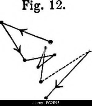 . Die Kraft der Bewegung in Pflanzen. Pflanzen, Botanik. 22 CIKCUMNUTATION der Sämlinge. Ohat. Ich cotyl wurde während 28 h beobachtet., wie in kg angegeben. 11. B verschoben in alle Richtungen; die Linien von rechts und in der Abbildung links werden parallel zu den Klingen der Keimblätter zu. Die tatsächliche Entfernung von Seite zu Seite durch die Gipfel der hypokotyl war ungefähr 2 Zoll; aber es war unmöglich auf dieser Leiter, um genau zu sein, denn je mehr schräg das Werk angesehen wurde, nachdem es einige Zeit verschoben hatte, je mehr die Abstände waren übertrieben. Wir haben uns bemüht, die circumnutation Der coty zu beobachten - l Stockfoto