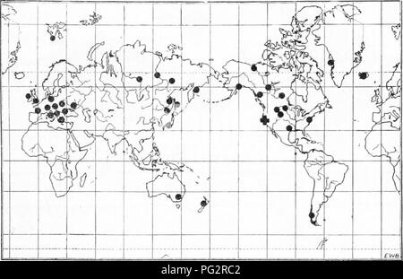 . Vererbung und Evolution der Pflanzen. Vererbung; Pflanzen. Geographische Verteilung 169 bleibt (relikt Endemiten) einer Gattung von mehreren Arten, die im tertiären Zeiten, über die meisten der nördlichen Hemisphäre (Abb. weit verbreitet war. 77). Durch eine Uke Abwägung der Beweise sind wir in der Lage, sich zu vergewissern, dass der allgegenwärtige Farn Familie, Polypodiacece, mit ca. 200 Gattungen und über 3000 Arten, ist ein COM-dabei moderne Gruppe, während die Osmunda Familie.. Abb. 77.-Karte, die die bekannte geographische Verteilung der Se-quoia während der erdneuzeit Ära. Das Kreuz zeigt an, dass der einzige bekannte Ort der lebendigen specime Stockfoto