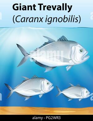 Giant Trevally Plakat Konzeption Illustration Stock Vektor