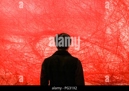 Adelaide, Australien. 23 Aug, 2018. Eine groß angelegte Installation durch die japanische Künstlerin Chiharu Shiota "Abwesenheit verkörperte "Schaffung einer riesigen tangled weblike Struktur von mehr als 180 km von kunstvoll gewebte Bedrohungen aus roten Wolle aufgereiht, von den Wänden und der Decke wurde öffnet sich an der kunst-Galerie von Australien in Adelaide Credit: Amer ghazzal/Alamy leben Nachrichten Stockfoto