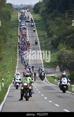 Koblenz, Deutschland. 23 Aug, 2018. Radfahren, UCI Europäische Serie, Deutschland Tour, Koblenz - Bonn (157, 00 Km), Phase 1. Das Feld ist auf dem Weg. Quelle: Bernd Thissen/dpa/Alamy leben Nachrichten Stockfoto