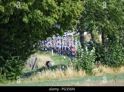 Koblenz, Deutschland. 23 Aug, 2018. Radfahren, UCI Europäische Serie, Deutschland Tour, Koblenz - Bonn (157, 00 Km), Phase 1: Radfahrer in Aktion in einem Feld. Quelle: Bernd Thissen/dpa/Alamy leben Nachrichten Stockfoto