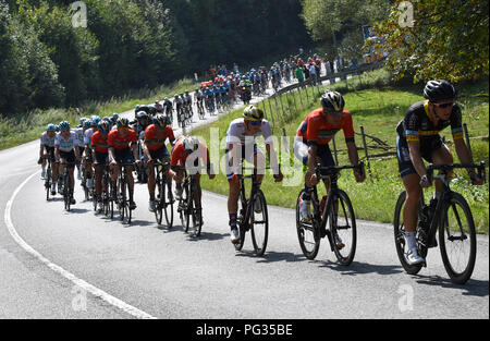 Koblenz, Deutschland. 23 Aug, 2018. Radfahren, UCI Europäische Serie, Deutschland Tour, Koblenz - Bonn (157, 00 Km), Phase 1: Radfahrer in Aktion. Quelle: Bernd Thissen/dpa/Alamy leben Nachrichten Stockfoto