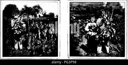 . Gärten und ihre Bedeutung, von Dora Williams. Schule Gärten. 32 GÄRTEN UND IHRE BEDEUTUNG bekannt, um zu blühen, auch. In einem gut geführten gar-Höhle ist es die Gewohnheit zu "Partner" für die Arbeit der einzelnen Grundstück wählen. Dies ist zweifellos ein Schritt, wenn nicht ein Schritt in Richtung Kooperation. Wahrscheinlich der ideale Weg, den höchsten Anreize zu nutzen und das Beste aus der menschlichen Natur durch harmonische wenig Partnerschaften innerhalb einer großen Bruderschaft arbeiten. Wie selten ist es für erwachsene Menschen wie uns die aussagekräftigste Arbeit isoliert tun! Und ist es nicht wahr, dass einige Alkoholgradation Stockfoto