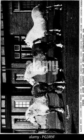 . Eine Geschichte der Percheron Pferd: mit bisher unveröffentlichten Daten über den Ursprung und die Entwicklung der modernen Art der schweren Zug, von authentischen Dokumenten, Aufzeichnungen und Manuskripte in den nationalen Archiven der französischen Regierung ausgearbeiteten, zusammen mit einer detaillierten Beschreibung der Einführung und Verbreitung der Rasse in den Vereinigten Staaten, auf die sich ein Symposium reflektiert die Ansichten der führenden zeitgenössischen Importeure und Züchter berühren die Auswahl, Fütterung und allgemeine Verwaltung der Hengste, Zuchtstuten und Fohlen angehängt wird. Percheron Pferd. . Bitte beachten Sie, dass die Stockfoto