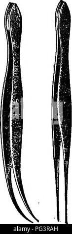 Ein umfassender Botanik-Leitfaden, der Organographie, Histologie, Pflanzenphysiologie und die wirtschaftliche Nutzung von Pflanzen abdeckt und grundlegende Terminologie und Konzepte für Studenten und Praktiker in Botanik bietet. Stockfoto