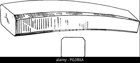 Diese Arbeit beschreibt verschiedene Holzbäume, einschließlich einheimischer und fremder Arten, mit einem Schwerpunkt auf den Eigenschaften und Verwendungen der französischen Eiche. Das Buch befasst sich mit Holzmessungen, Häckungstechniken und dem Wert von Holz für verschiedene Anwendungen wie Bau- und Möbelbau. Stockfoto
