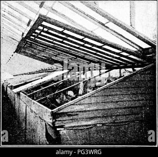 . Pflanzliches: Gewächshaus und Gärtnerei Praxis. Pflanzenvermehrung. 88 I "Lanl ich Körner' KUi Brewers', 'ACiATlON spcul liuijs, ur ulher fcnnenling Material verwendet wird, als Quelle der Wärme. Fresli Pferdemist ist die beliebteste solcher Materialien. 2. Von horizontalen, Stein oder Fliesen Schächte, die Abgase von Bränden unter den Bänken ein Gewächshaus oder eine Brutstätte. Diese Methode der Erwärmung Gewächshäuser ist prac gebucht veraltet sind, sondern für die brutstätten, besonders für propagat -. Abb. 76 - "Schweiß" für Vermehrungsmaterial durch hohe Temperaturen und hohe Luftfeuchtigkeit gesichert durch Schließen nach oben und senken Sackleinen Vorhang Stockfoto