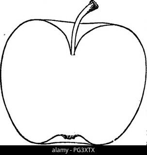 Dieses Buch über die amerikanische Frucht-Kultur befasst sich mit dem Anbau und der Bewirtschaftung von Obstbäumen, mit einem Schwerpunkt auf verschiedenen Apfelsorten, einschließlich des Golden Pippin, ein traditioneller englischer Apfel, der in vielen Regionen Amerikas immer noch beliebt ist. Stockfoto